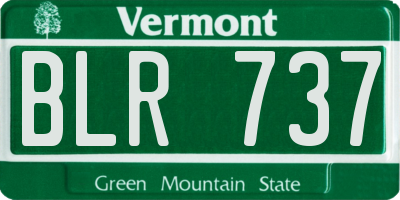 VT license plate BLR737
