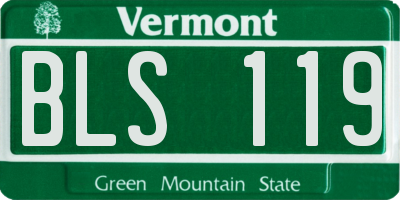 VT license plate BLS119
