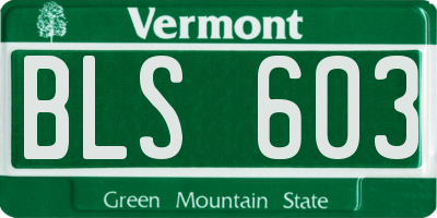 VT license plate BLS603