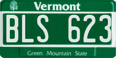 VT license plate BLS623