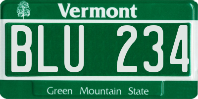 VT license plate BLU234
