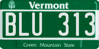 VT license plate BLU313