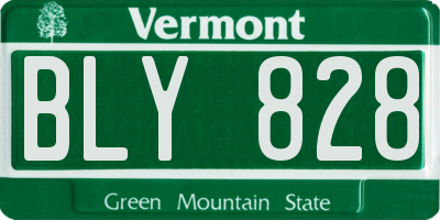 VT license plate BLY828