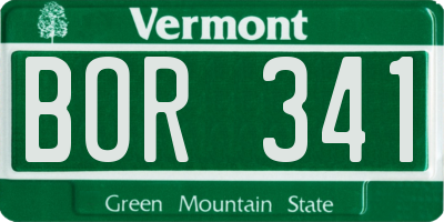 VT license plate BOR341