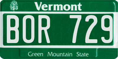 VT license plate BOR729