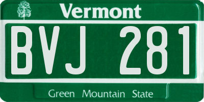 VT license plate BVJ281