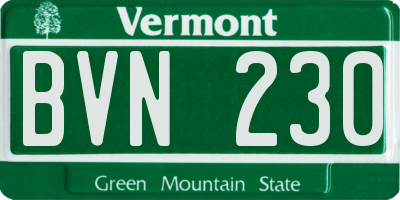 VT license plate BVN230