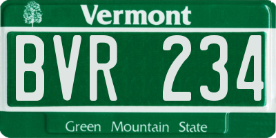 VT license plate BVR234