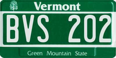 VT license plate BVS202