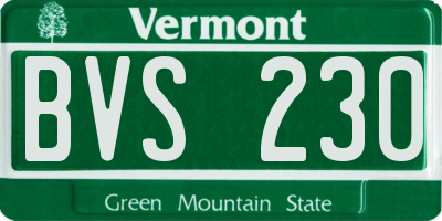 VT license plate BVS230