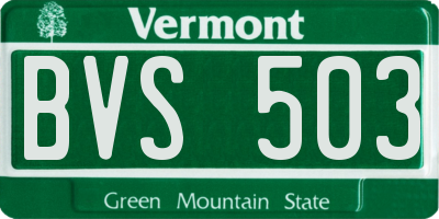 VT license plate BVS503