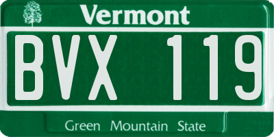 VT license plate BVX119