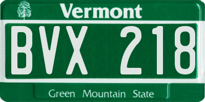 VT license plate BVX218
