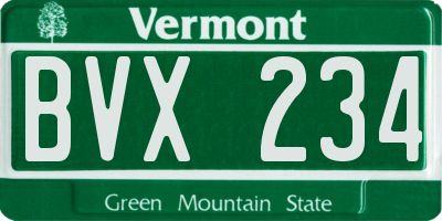 VT license plate BVX234