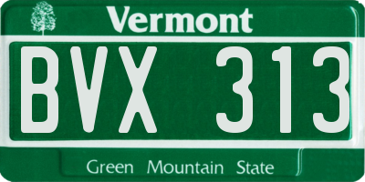 VT license plate BVX313