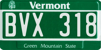 VT license plate BVX318
