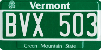 VT license plate BVX503