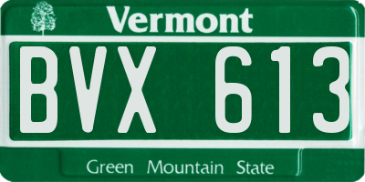 VT license plate BVX613