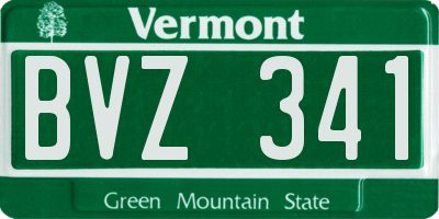 VT license plate BVZ341