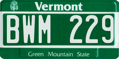 VT license plate BWM229