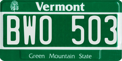VT license plate BWO503