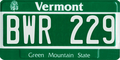VT license plate BWR229