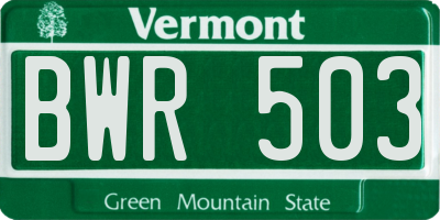 VT license plate BWR503