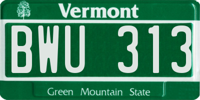 VT license plate BWU313