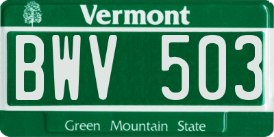 VT license plate BWV503
