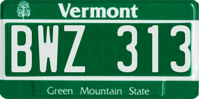 VT license plate BWZ313