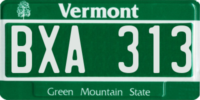 VT license plate BXA313