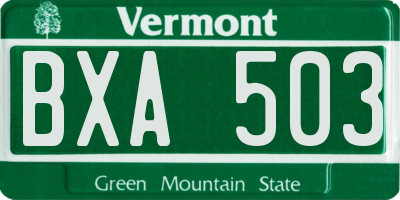VT license plate BXA503