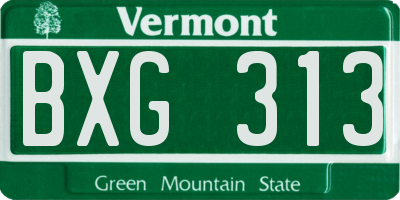 VT license plate BXG313