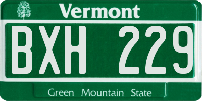 VT license plate BXH229