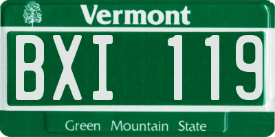 VT license plate BXI119
