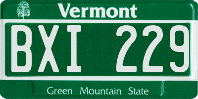 VT license plate BXI229