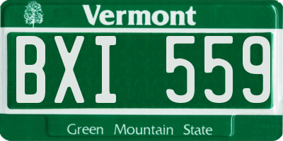 VT license plate BXI559