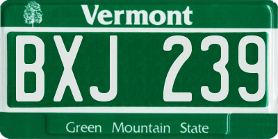 VT license plate BXJ239