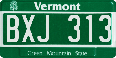 VT license plate BXJ313