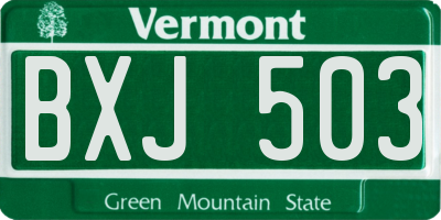 VT license plate BXJ503