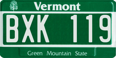 VT license plate BXK119