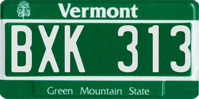 VT license plate BXK313