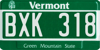 VT license plate BXK318