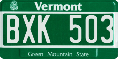 VT license plate BXK503
