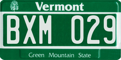 VT license plate BXM029