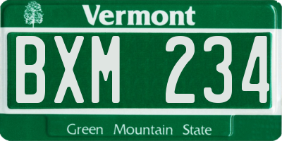 VT license plate BXM234