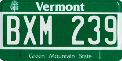 VT license plate BXM239