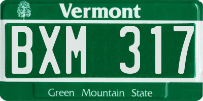 VT license plate BXM317