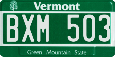 VT license plate BXM503