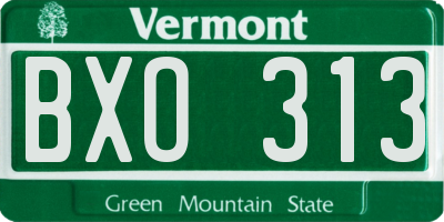 VT license plate BXO313